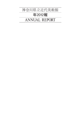 年報 2012年度（PDF/12.1MB）
