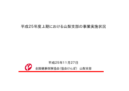 平成25年度における山梨支部の事業実施状況