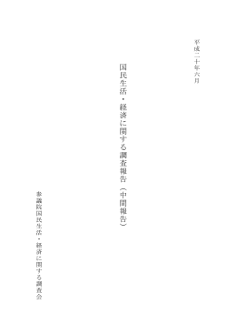 国民生活・経済に関する調査報告（中間報告）