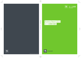 Business Report 2013