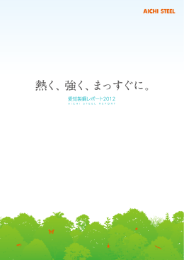 愛知製鋼レポート 2012