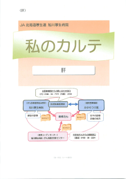 私のカルテ（肝がん）（PDF：4.67MB