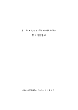 議事録（PDF形式：331KB）