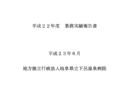 平成22年度 業務実績報告書