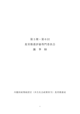 議事録（PDF形式：340KB）