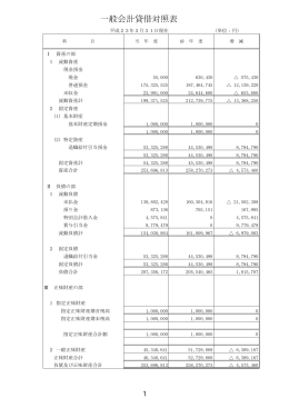 一般会計貸借対照表 - 千葉市みどりの協会