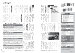アウトドア 文 化