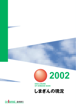 2002年 pdf版