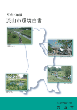 平成19年版
