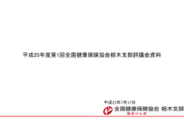 資料1 平成25年度第1回全国健康保険協会栃木支部評議会資料