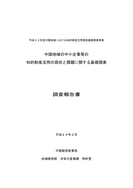 調査報告書 - 中国経済産業局