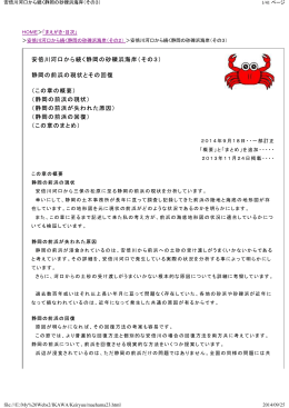 安倍川河口から続く静岡の砂礫浜海岸（その3） 静岡の前浜の現状