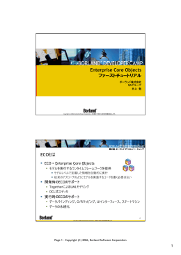 PDF（533KB） - Embarcadero Developer Network