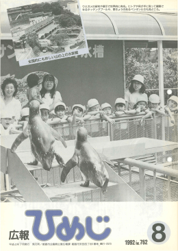 pdf "抽象"