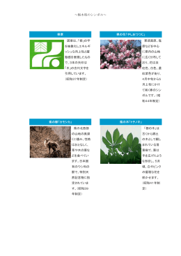 ～栃木県のシンボル～ 県章 図案は、「栃」の字 を抽象化しエネルギ