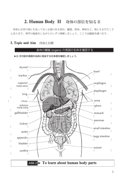 2. Human Body II