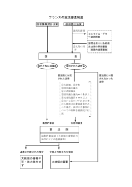フランスの憲法審査制度