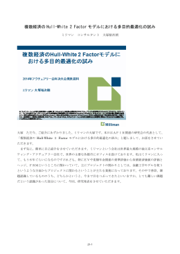 複数経済の Hull-White 2 Factor モデルにおける多目的最適化の試み