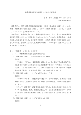 意見書全文 - 日本弁護士連合会