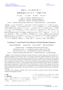 pdf "抽象"