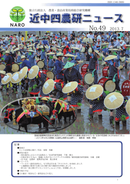 近畿中国四国農業研究センターニュース No.49