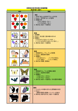 前概念的思考時期の訓練課題