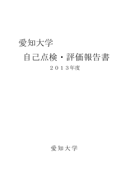 2013 年度