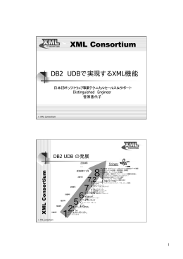 pdf "抽象"