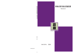 新株式発行届出目論見書