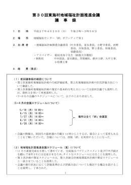 第30回推進会議議事録 (PDF 446.2KB)