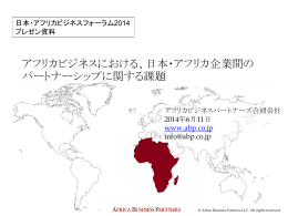 日本・アフリカ企業間の パートナーシップに関する課題