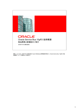 Oracle Service Bus 10gR3 技術概要