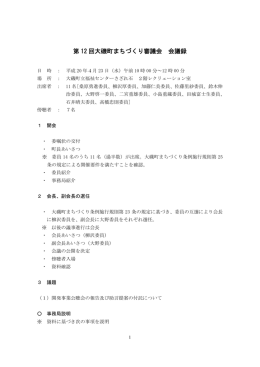 第12回会議録 （PDF：221.7KB）