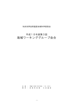 平成18年度 第3回 海域ワーキンググループ 議事録