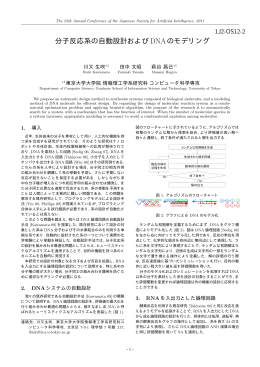 分子反応系の自動設計およびDNAのモデリング