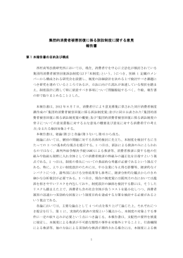 集団的消費者被害回復に係る訴訟制度に関する意見 報告書