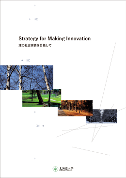 Strategy for Making Innovation