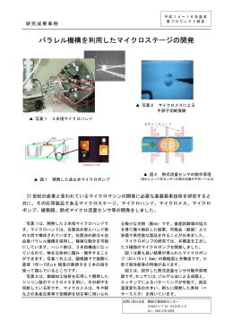全 体