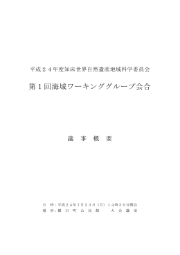 第1回海域ワーキンググループ会合