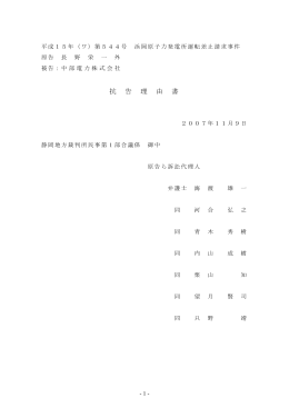 【抗告理由書】PDFはこちら