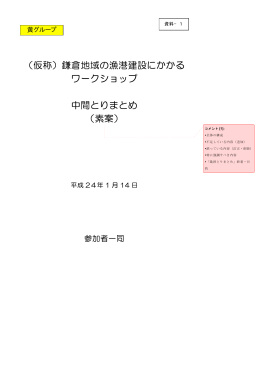 （仮称）鎌倉地域の漁港建設にかかる ワークショップ 中間