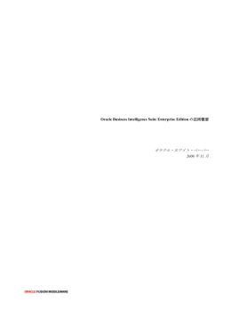 Oracle Business Intelligence Suite Enterprise Editionの技術概要