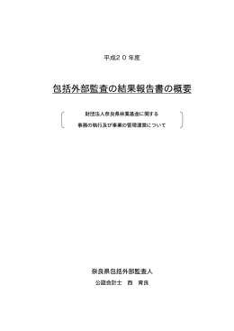 概要版