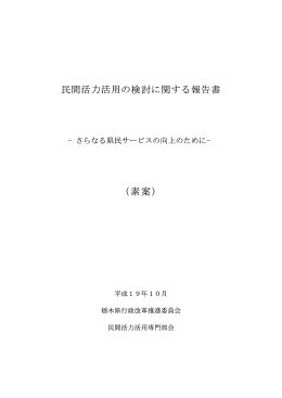 民間活力活用の検討に関する報告書 （素案）