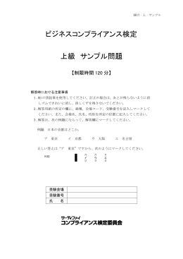 上級サンプル問題PDF
