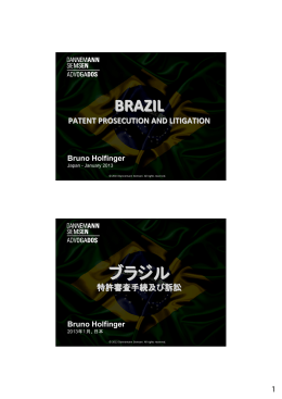 BRAZIL ブラジル - 外国産業財産権侵害対策等支援事業