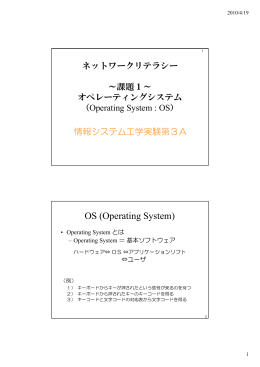 OS (Operating System)