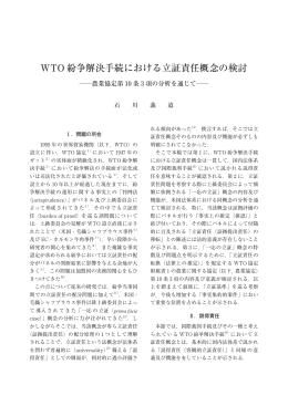 WTO 紛争解決手続における立証責任概念の検討