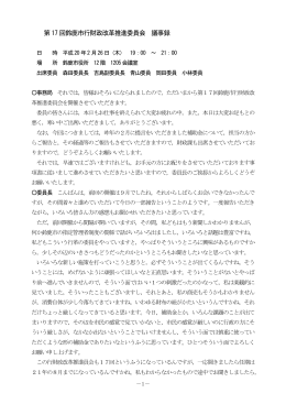 第17回議事録(PDF/377KB)
