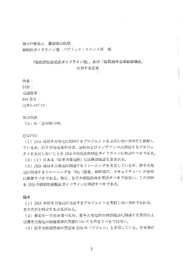 受領済パブリックコメント（PDF/981KB）